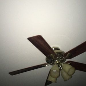 Meet your Posher, Deb